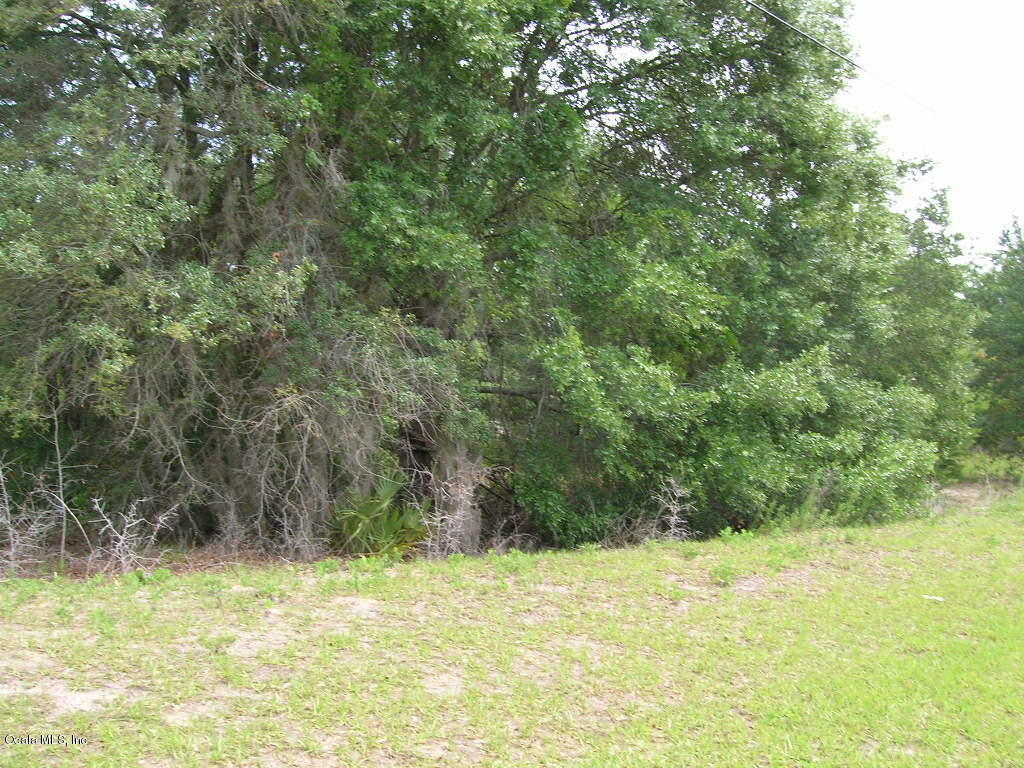 Lot 23 MARION OAKS Trail, Ocala, FL 34473