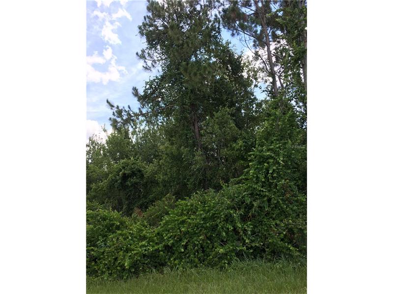 SW 167TH PLACE, Ocala, FL 34473