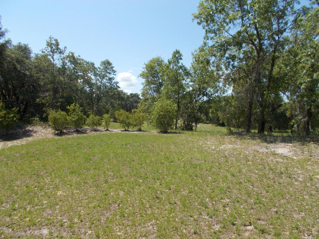 6432 SW 148th Street, Ocala, FL 34473