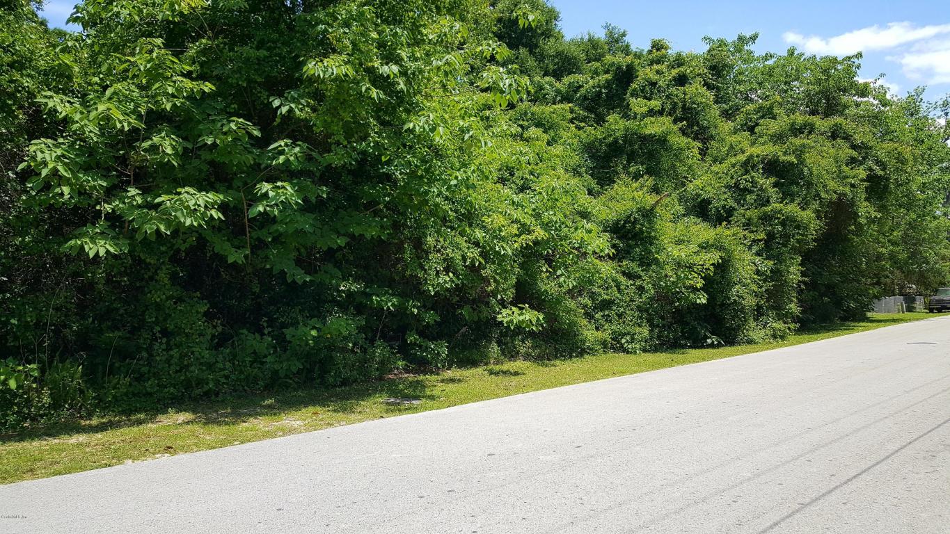 00 SW 34TH AVE Circle, Ocala, FL 34474