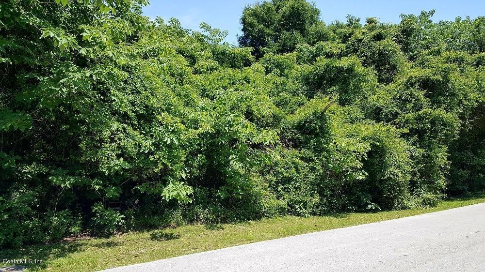 00 SW 34TH AVE Circle, Ocala, FL 34474