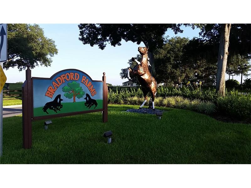 0 SW 93RD LANE, Ocala, FL 34476
