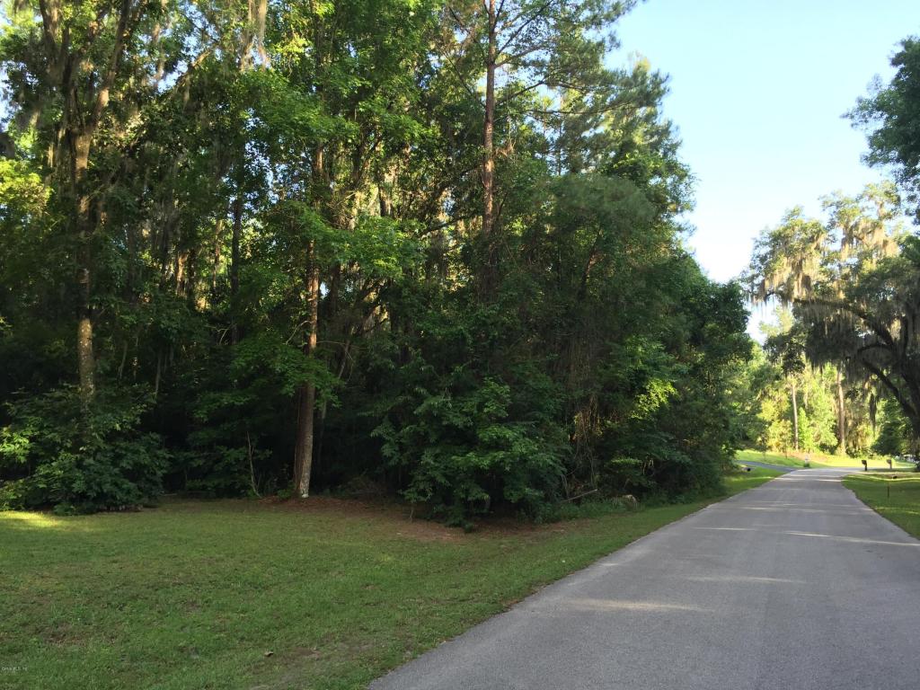 TBD SE 12th Court, Ocala, FL 34480