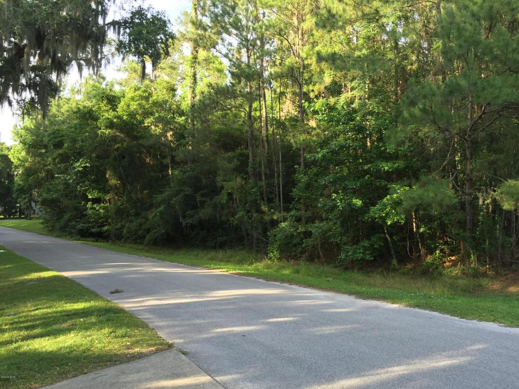 TBD SE 12th Court, Ocala, FL 34480