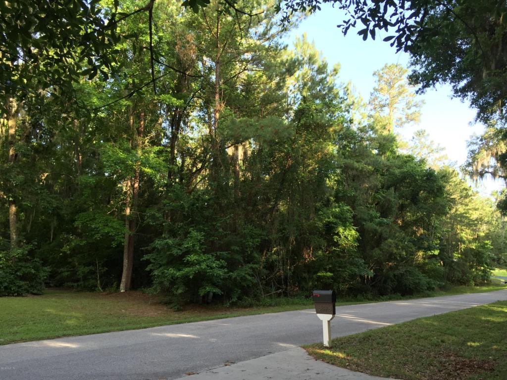 TBD SE 12th Court, Ocala, FL 34480