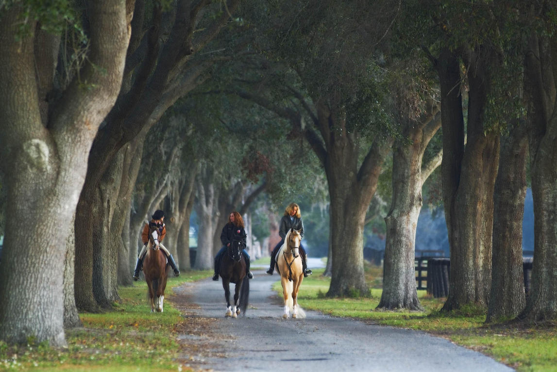 0 SE 15TH Circle, Ocala, FL 34480