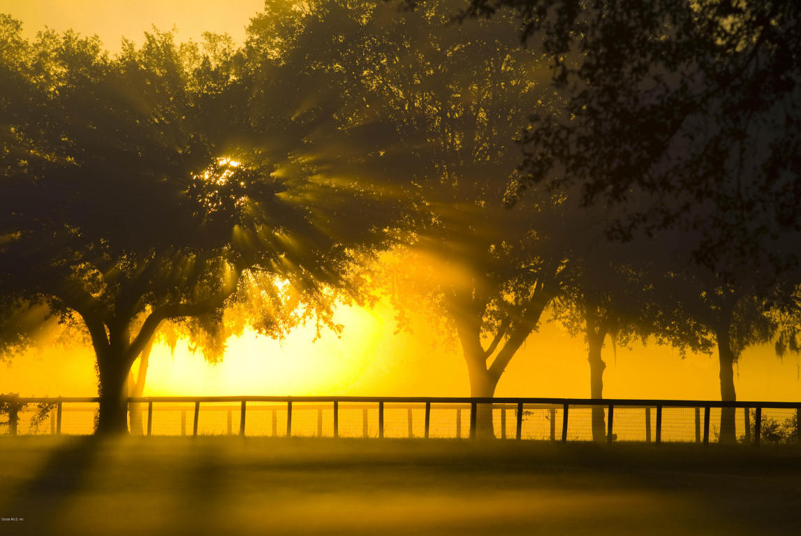 0 SE 15TH Circle, Ocala, FL 34480