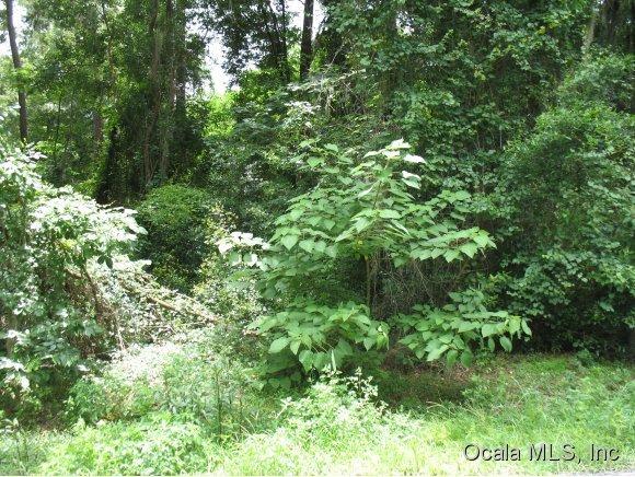 0 SW 152 Court, Ocala, FL 34481