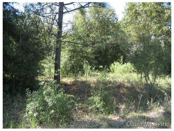 0 NW 56 Court, Ocala, FL 34482