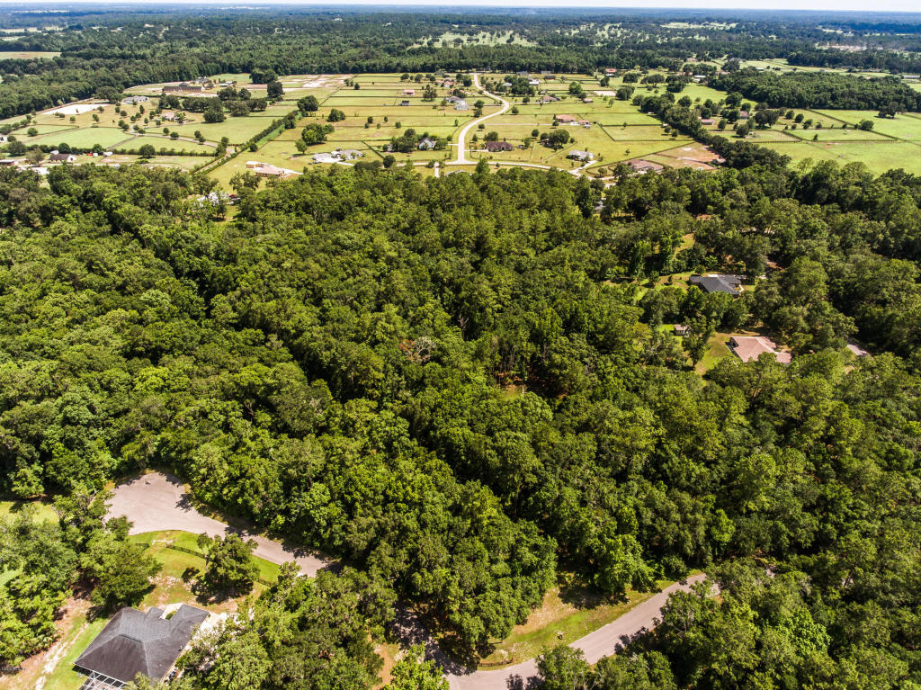 TBD NW 83rd Court Road, Ocala, FL 34482