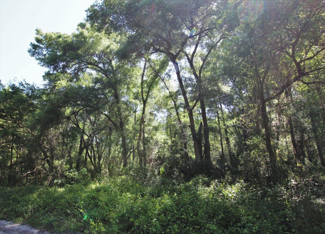 TBD NW 80th Place, Ocala, FL 34482