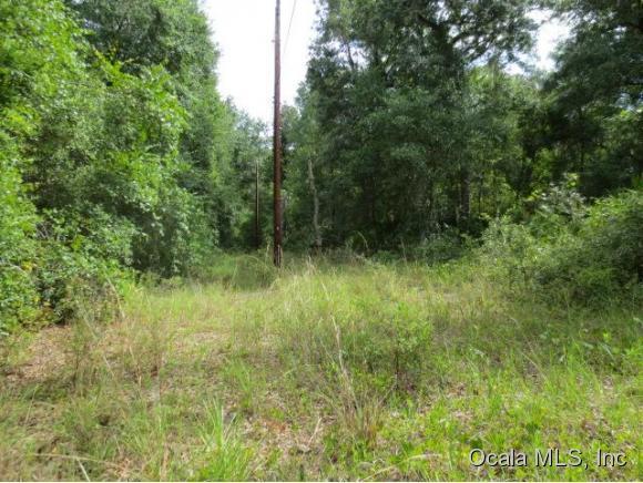 0 NE 172 Null Avenue, Silver Springs, FL 34488