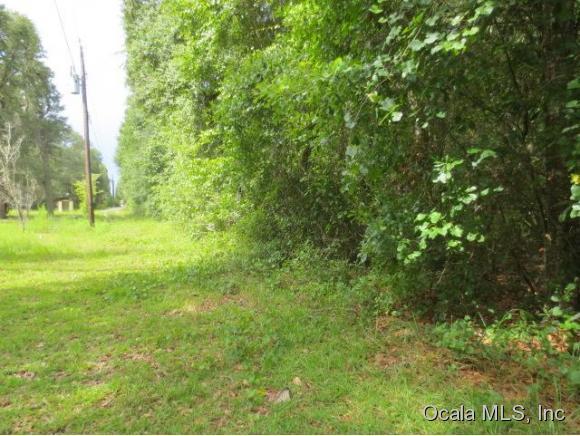 0 NE 172 Null Avenue, Silver Springs, FL 34488