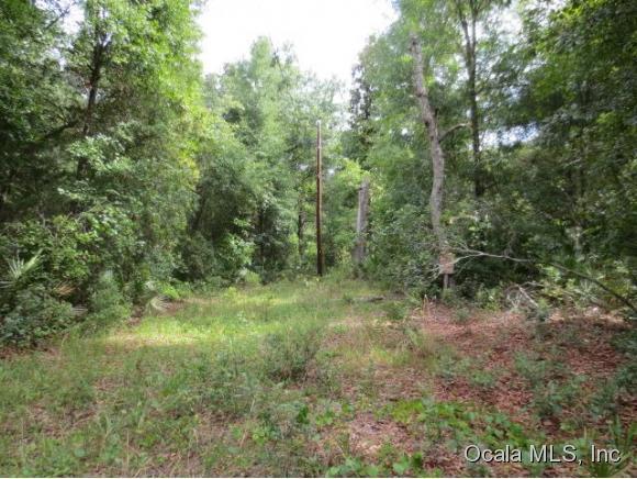 0 NE 172 Null Avenue, Silver Springs, FL 34488