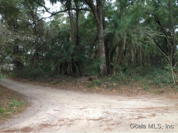 0 NE 165th Terr Road, Silver Springs, FL 34488