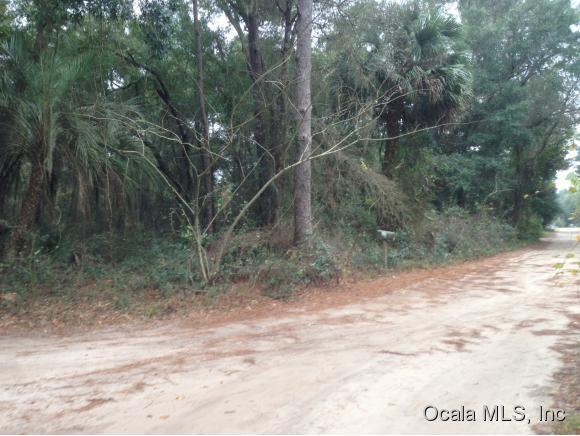 0 NE 165th Terr Road, Silver Springs, FL 34488
