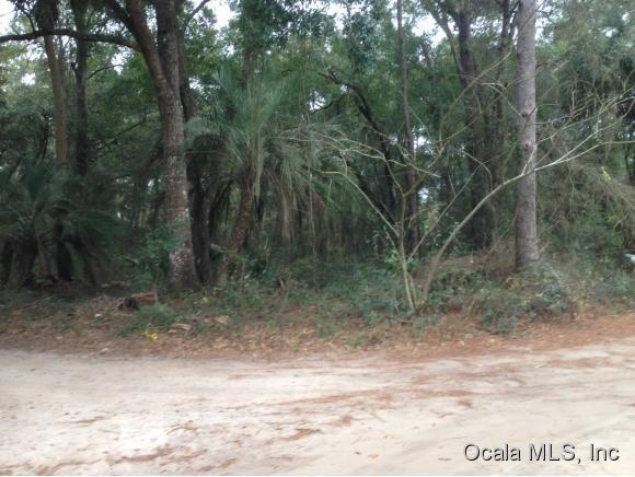 0 NE 165th Terr Road, Silver Springs, FL 34488