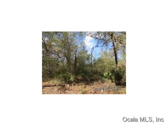 0 NE 172 Terrace, Silver Springs, FL 34488