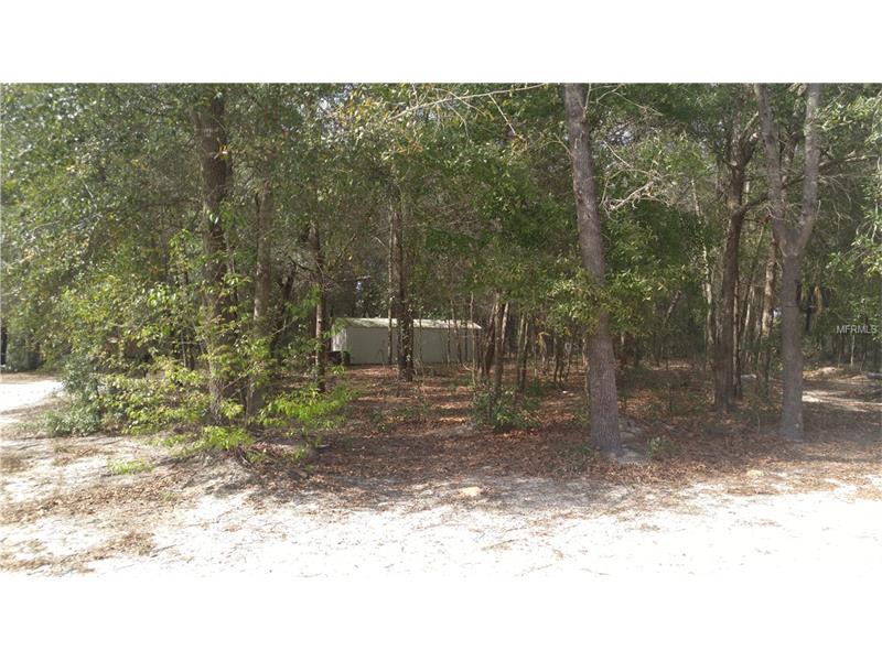 9892 151ST PLACE, Summerfield, FL 34491