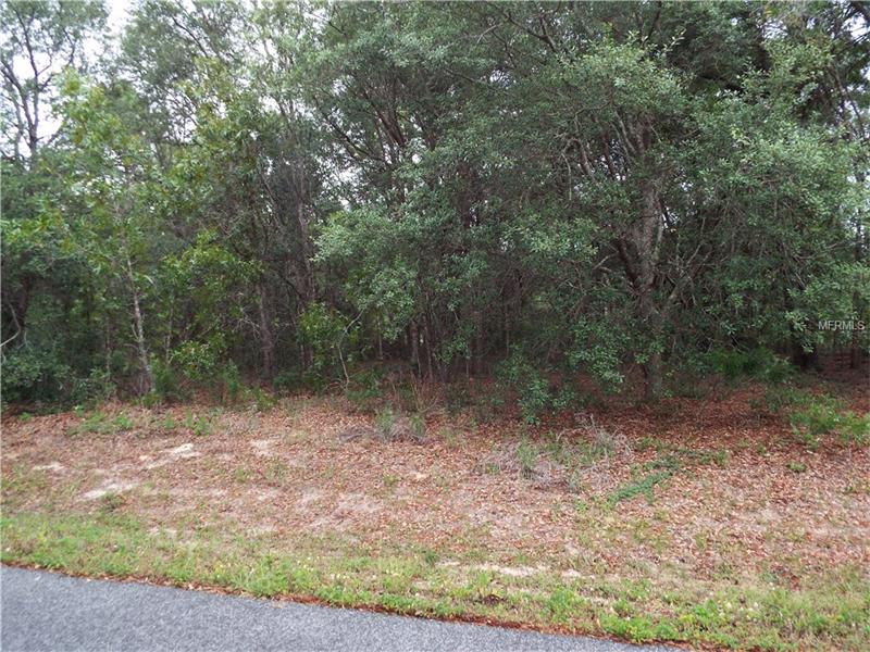 0 SE 159 LANE, Summerfield, FL 34491