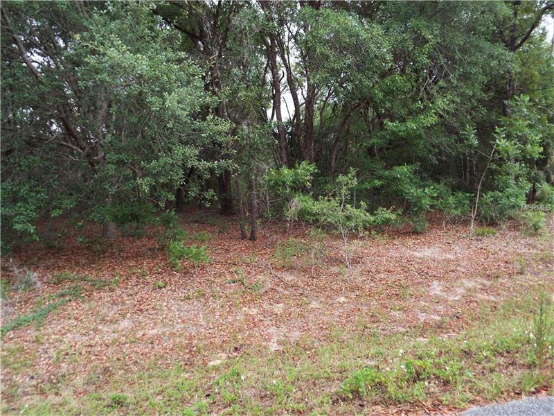 0 SE 159 LANE, Summerfield, FL 34491