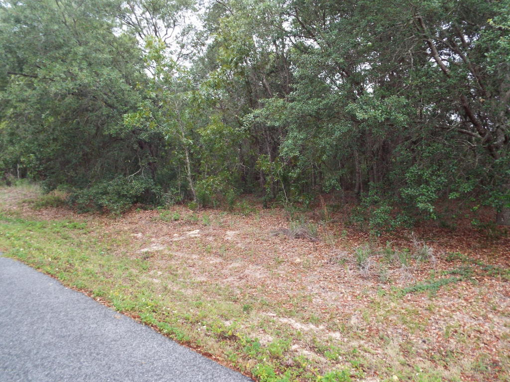 0 SE 159 Lane, Summerfield, FL 34491