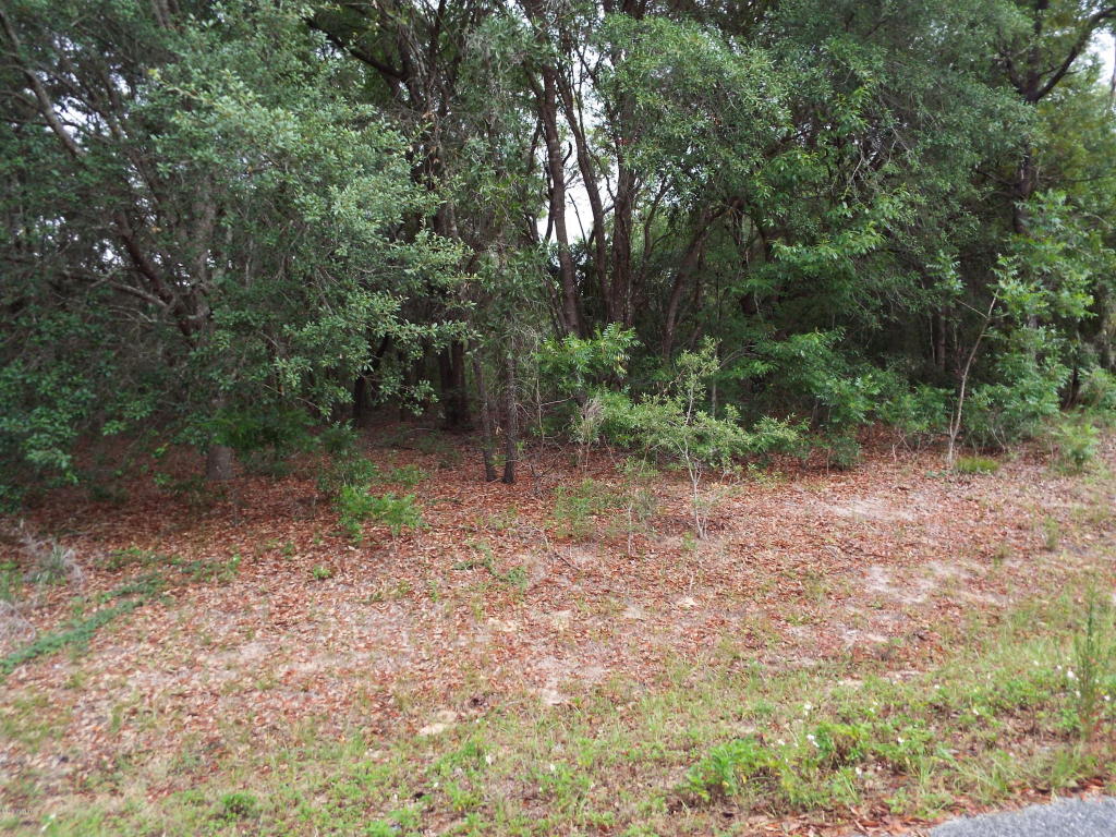 0 SE 159 Lane, Summerfield, FL 34491