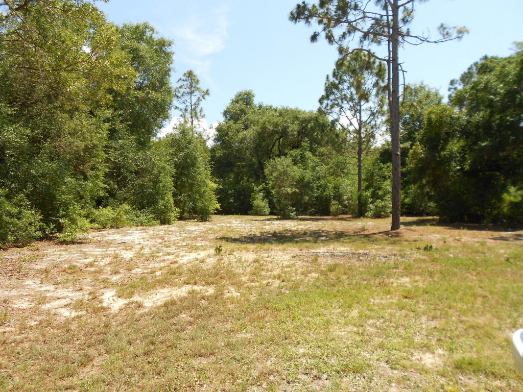 10048 SE 155th Street, Summerfield, FL 34491