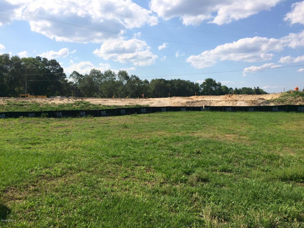 8150 SE 128 Lane, Summerfield, FL 34491