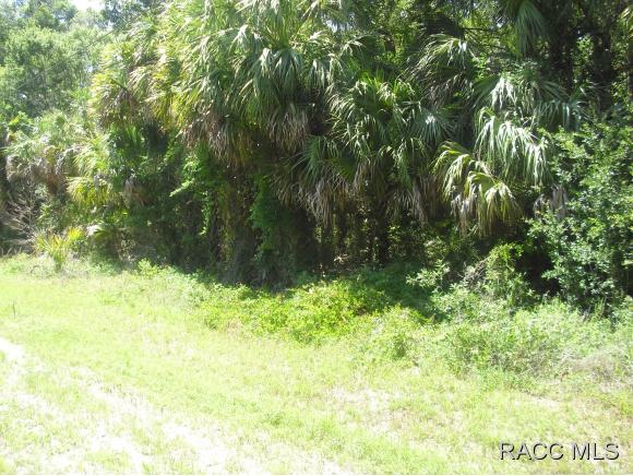 0 193rd Place, Yankeetown, FL 34498