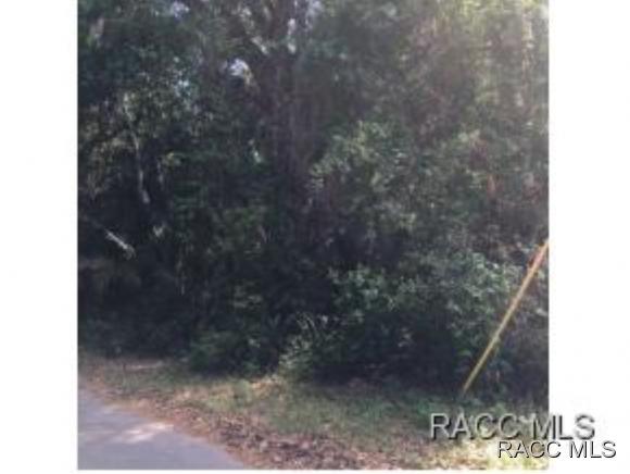 0 Patricia, Yankeetown, FL 34498