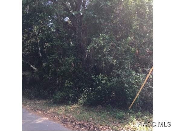 0 Patricia, Yankeetown, FL 34498
