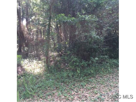 0 Patricia, Yankeetown, FL 34498