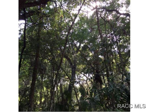 0 Patricia, Yankeetown, FL 34498