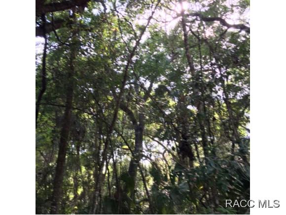 0 Patricia, Yankeetown, FL 34498