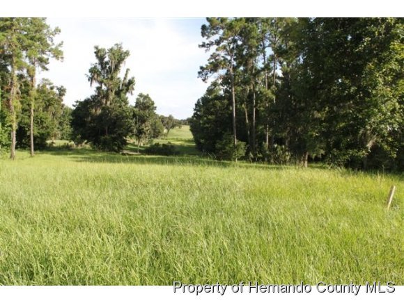 0 Sterling Bluff Way, Brooksville, FL 34601