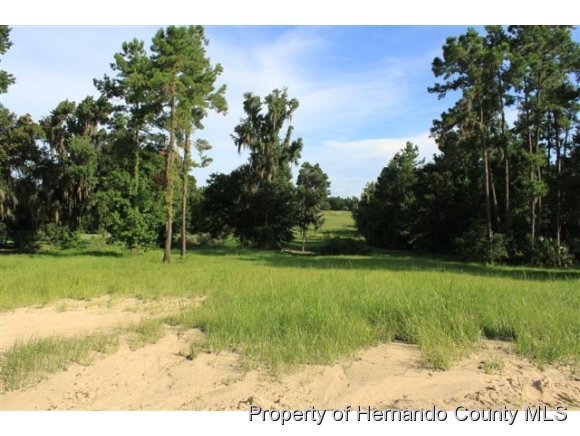 0 Sterling Bluff Way, Brooksville, FL 34601