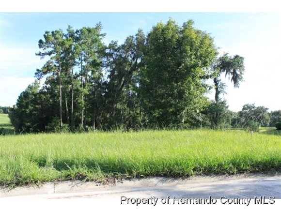 0 Sterling Bluff Way, Brooksville, FL 34601