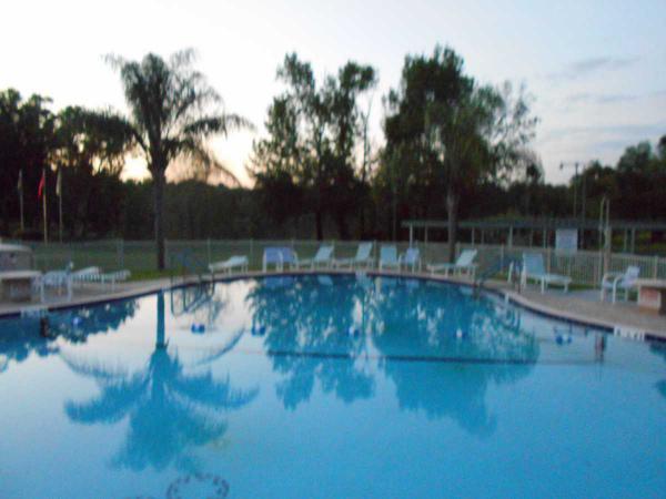 Clover Leaf Farms5407 Woodford StreetBrooksville, FL 34601