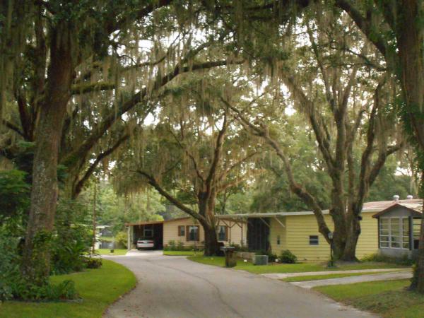 Clover Leaf Farms5407 Woodford StreetBrooksville, FL 34601