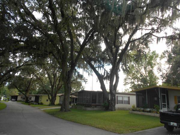 Clover Leaf Farms5407 Woodford StreetBrooksville, FL 34601