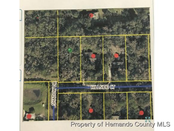 0 Hillside Ct, Brooksville, FL 34601