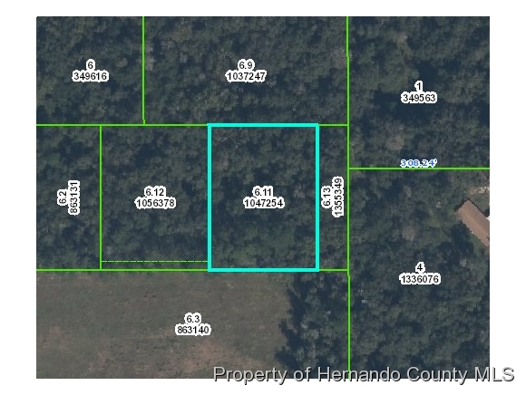 Brooksville, FL 34601