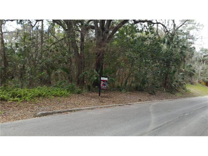 STAFFORD AVENUE, Brooksville, FL 34601