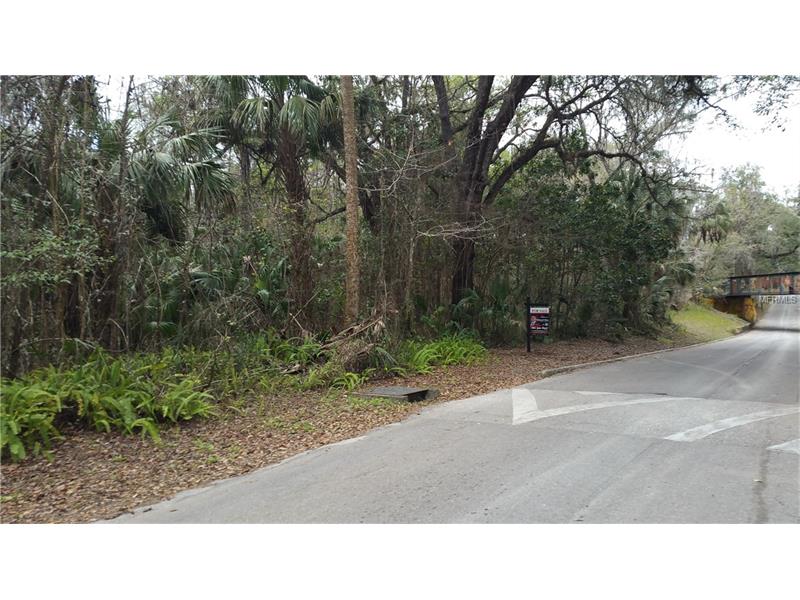 STAFFORD AVENUE, Brooksville, FL 34601