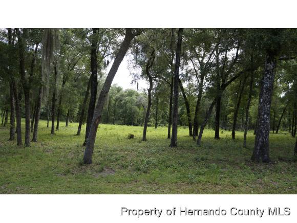 Brooksville, FL 34601