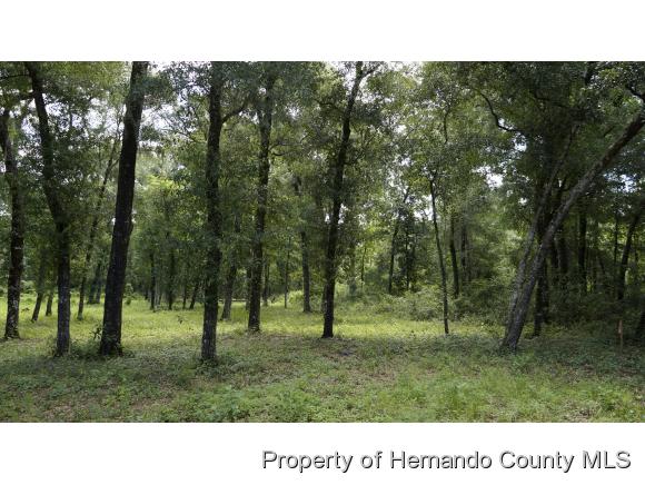 Brooksville, FL 34601