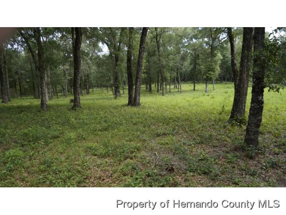 Brooksville, FL 34601