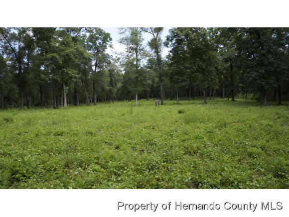Brooksville, FL 34601