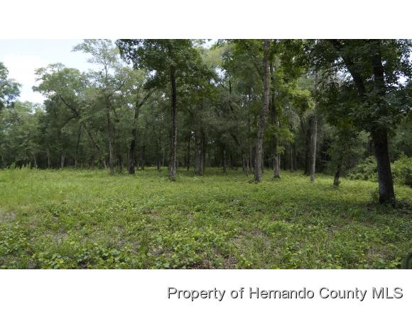 Brooksville, FL 34601